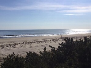 Beach - 4 bedroom accommodation in Harvey Cedars (Harvey Cedars)