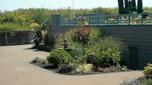 A paved walkway leading to a building with a green roof and a small garden area with various plants and a fountain.