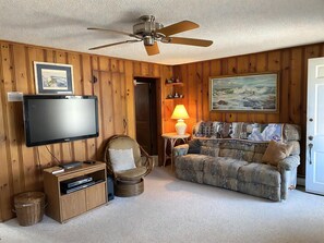 Quarto com painéis de madeira, ventoinha no teto, televisão, cadeira de vime, sofá estampado, abajur e um quadro.