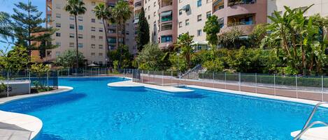 A swimming pool with clear blue water, surrounded by a fence and palm trees.