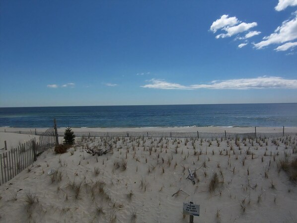 Sun-loungers - Second Floor Condo Just Steps to the Beach! (Beach Haven Gardens)