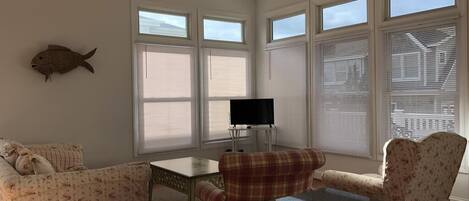 تلفزيون ذكي، مشغل دي في دي