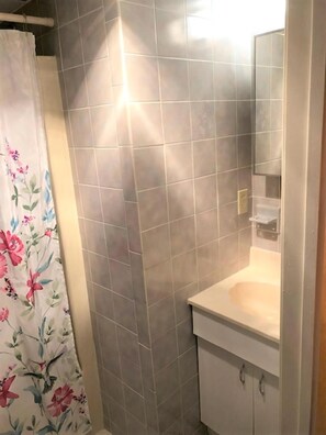 Bathroom - Ocean front with beautiful ocean view from deck (Beach Haven)