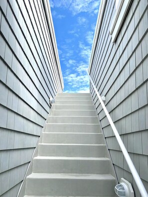 Property grounds - Ocean view vacation rental on LBI (Ship Bottom)