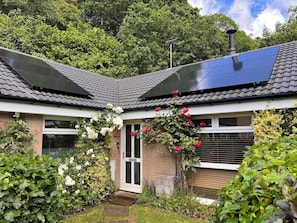 Une maison avec un toit équipé de panneaux solaires, une porte d’entrée et un jardin où poussent différentes plantes et fleurs.
