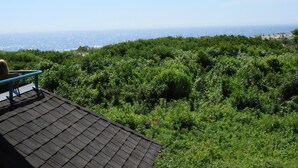 Una azotea con vistas al océano y abundante vegetación.
