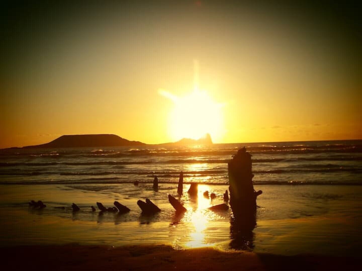 A beach scene with the sun setting over the ocean, silhouettes of people and a dog in the water, and a distant landmass.
