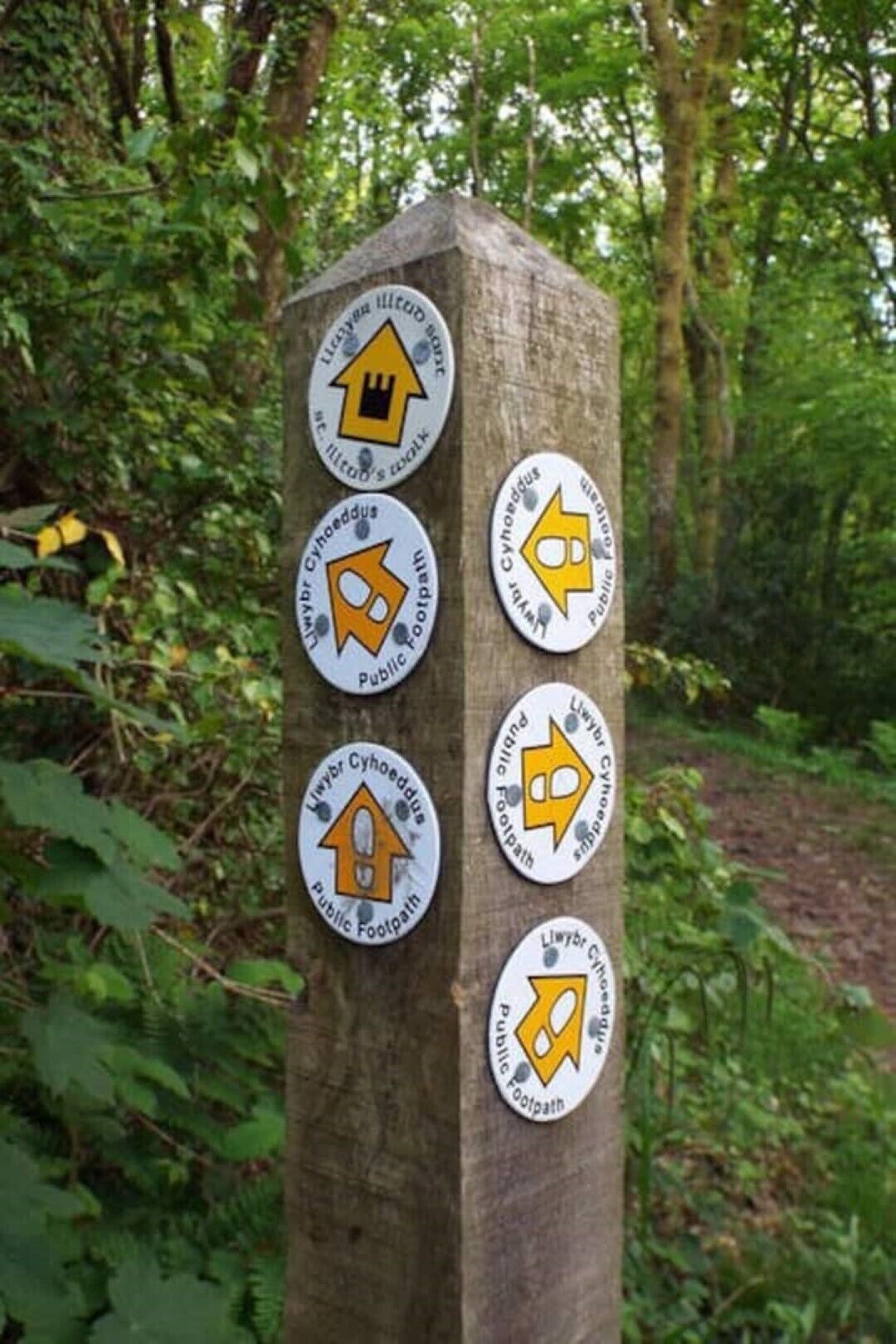 A wooden post with multiple circular signs indicating different walking paths.