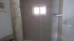 Une salle de bain avec une douche, des toilettes et une fenêtre.