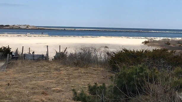 A beach with a clear sky, sandy shore, and a distant view of the ocean.