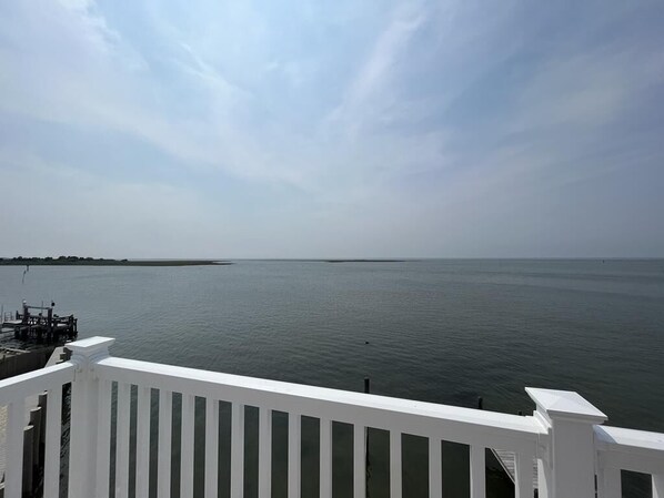 Property grounds - Classic beach house on the bay (Beach Haven Gardens)