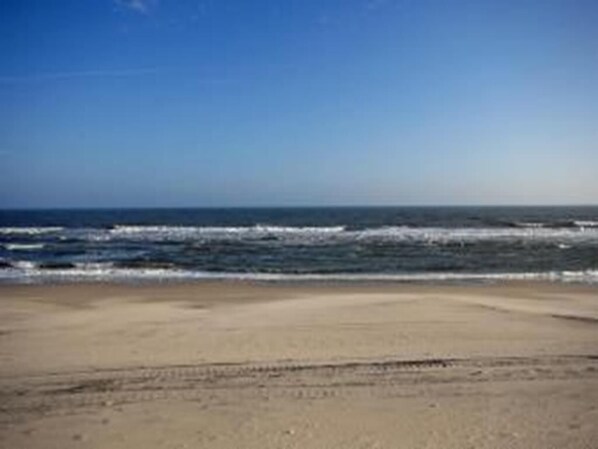 Sun-loungers, beach towels - Large roomy 5 bedroom single family located across the street from the beach in. (Brant Beach)