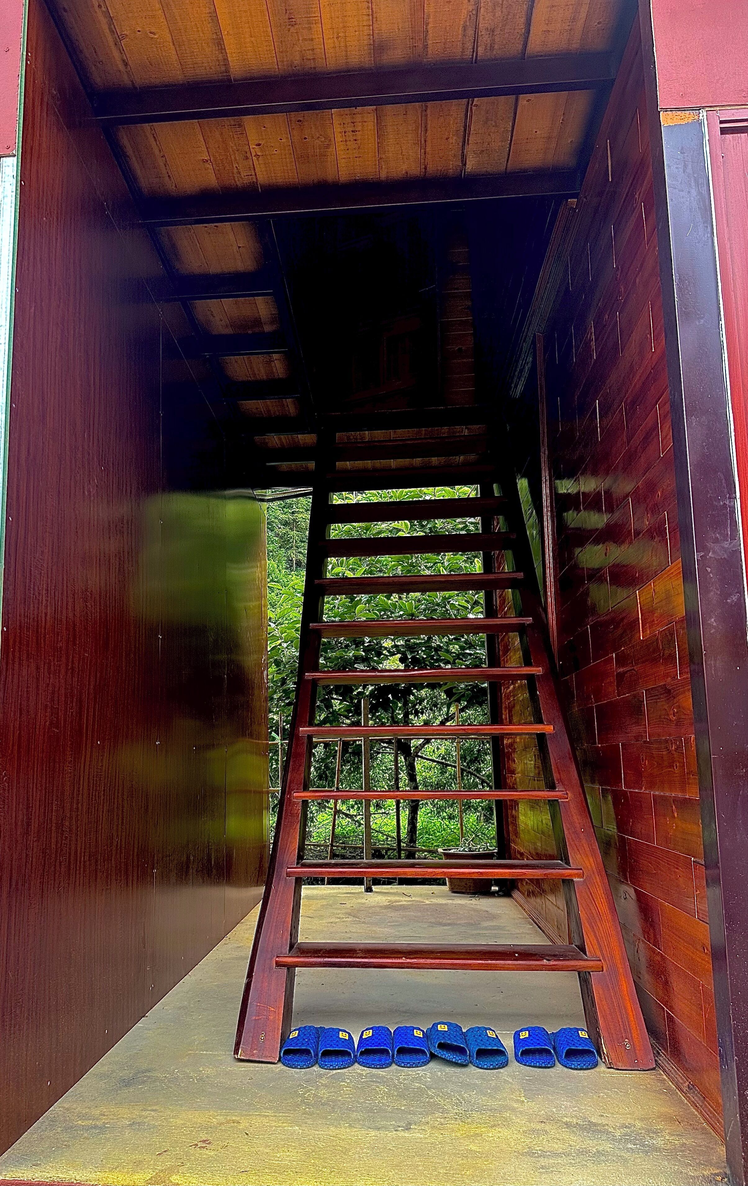 A wooden staircase leading to a covered area with a view of greenery outside.