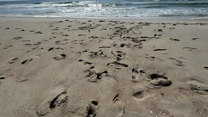 Una playa con huellas en la arena y el océano al fondo.
