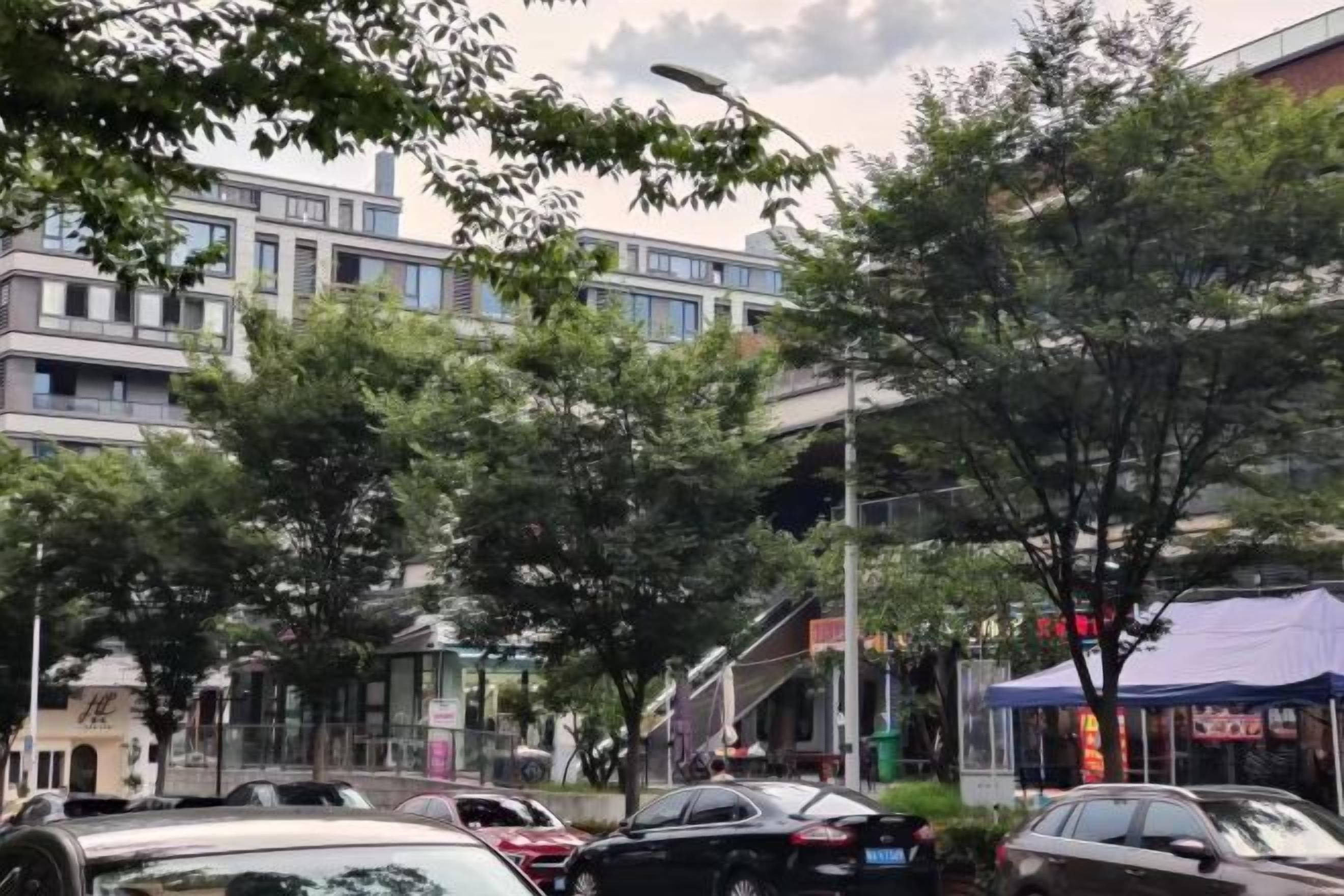 A street view with parked cars, trees, and buildings.