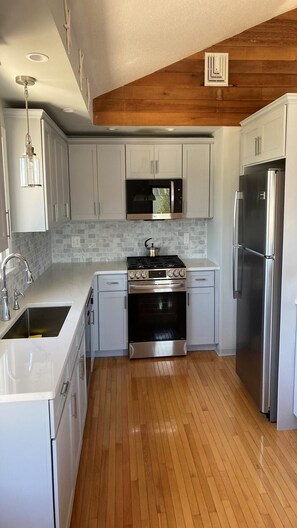 Kühlschrank, Ofen, Herdplatte, Geschirrspüler