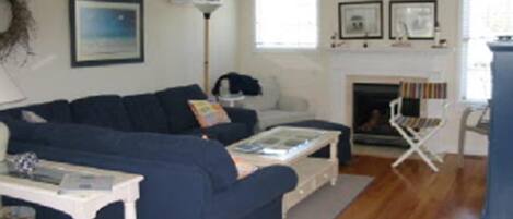 电视、壁炉、DVD 播放器