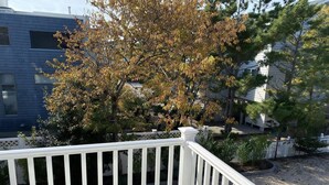 A white wooden deck with a white railing, a tree with yellowing leaves, and a modern building in the background. - LBI vacation rental property (Brant Beach)