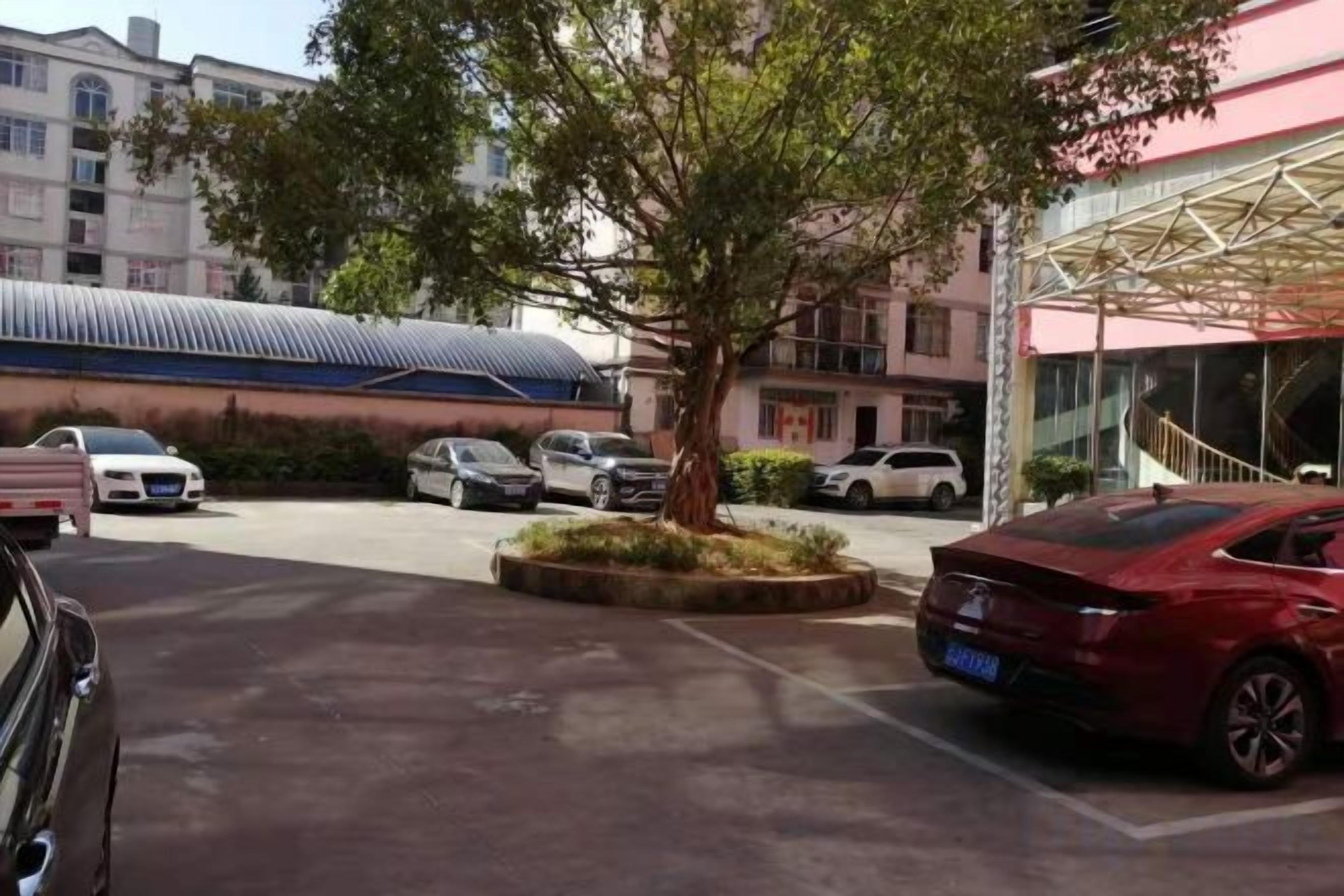 A parking lot with several cars, a tree, and a building with a modern design.
