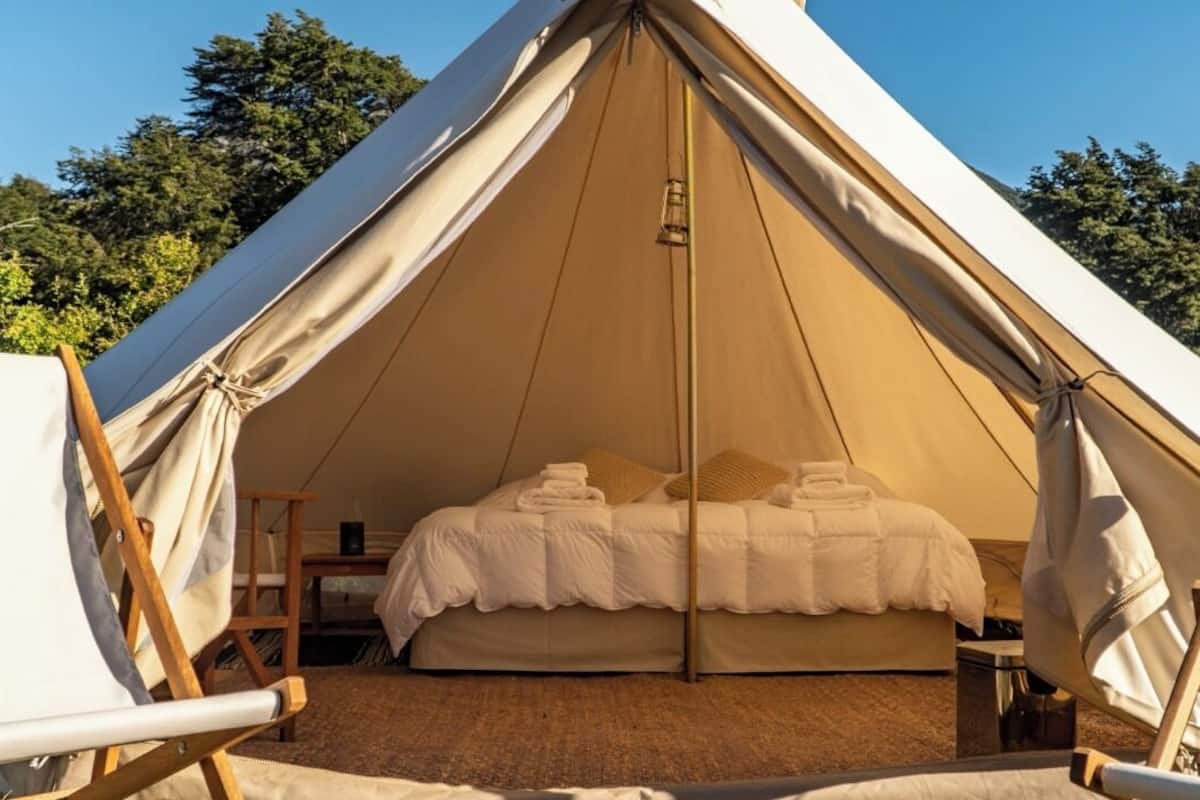 A tent with a bed inside, surrounded by trees.