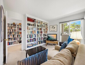 电视、DVD 播放器