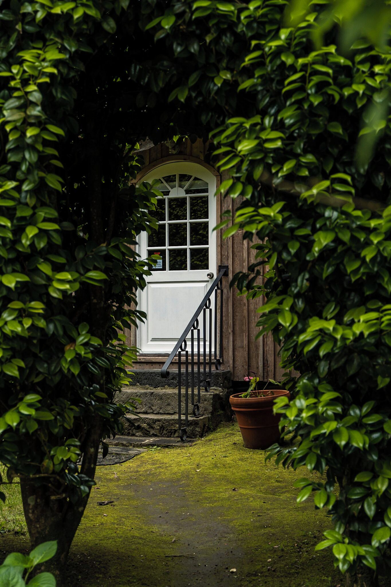 A wooden door with a white frame and a small window, leading to a stone staircase.