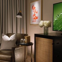 高档床上用品、客房内保险箱、特色装修、特色家居