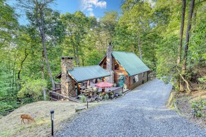 Exterior - Mountain Hideaway | Hot Tub | Theater | Outdoor Fireplace | Near Hiking & Town (Blue Ridge)