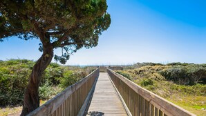 Une promenade en bois mène à une plage, avec un arbre sur la gauche.