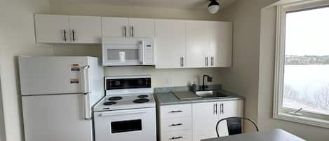 Fridge, microwave, griddle, toaster oven