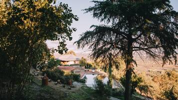 Zona residencial amb piscina, arbres i una casa al fons.