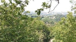 A lush, green landscape with dense foliage and a clear path leading through it. - Small cottage near the Sibillini Mountains (Marche)