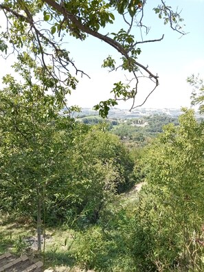 Property grounds - Small cottage near the Sibillini Mountains (Marche)