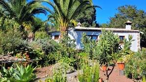 Un bâtiment blanc, doté d’un toit en tuiles, entouré d’une végétation luxuriante et de palmiers.