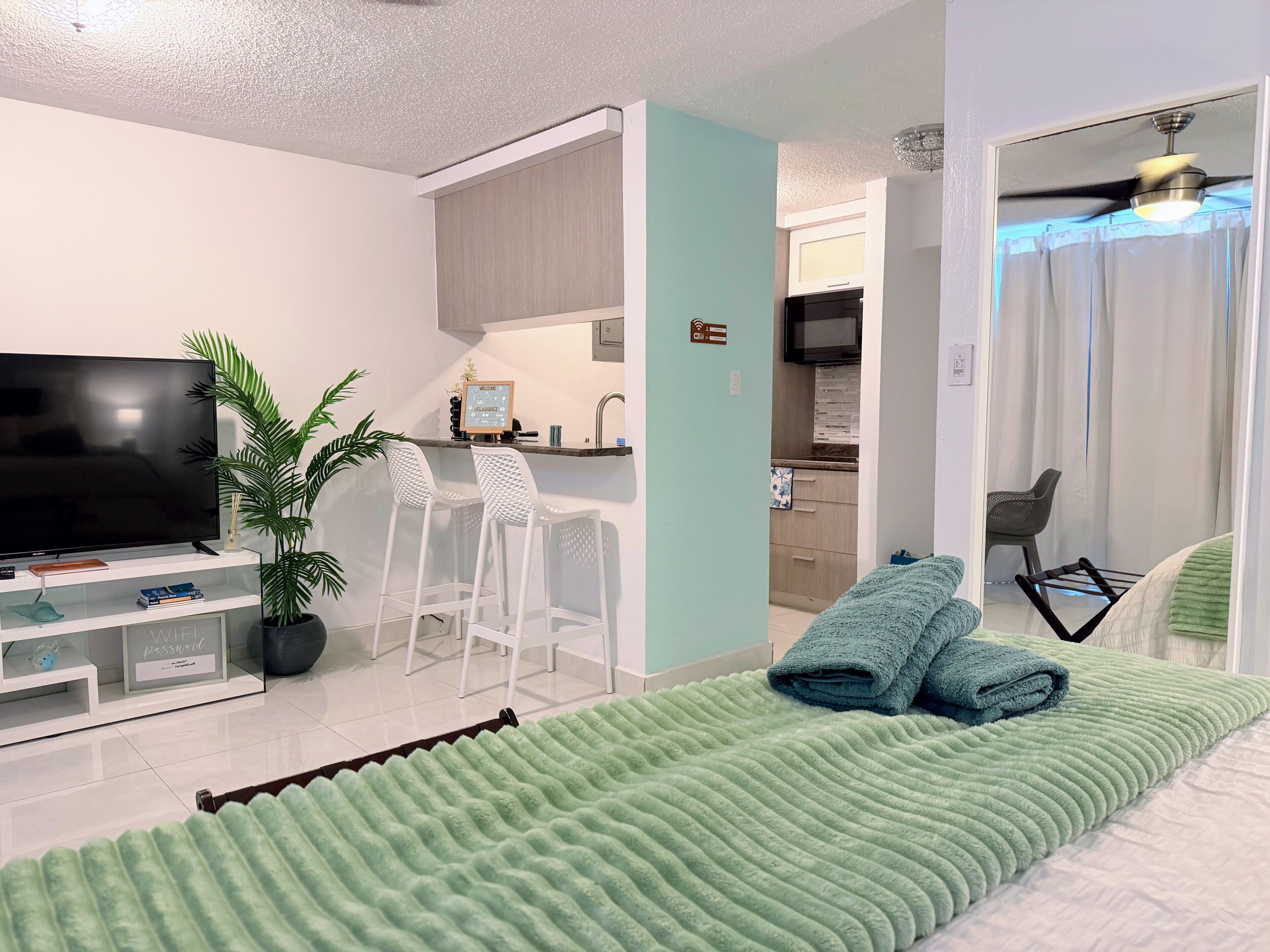 A modern living room with a flat-screen TV, a potted plant, and a green textured rug.