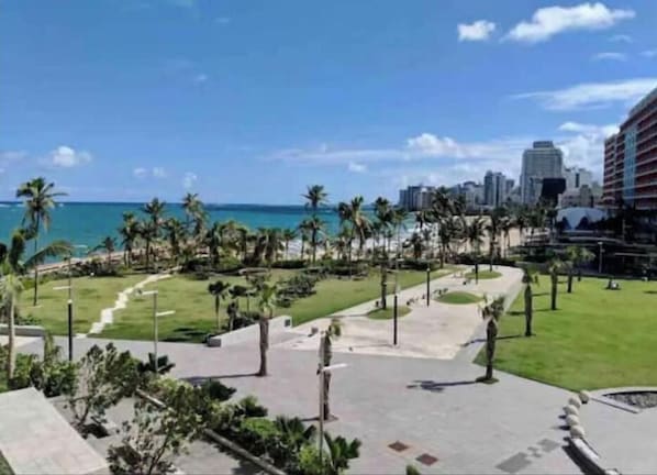 A coastal resort area with a paved walkway, palm trees, and a view of the ocean and city skyline.