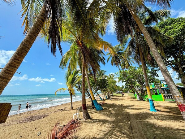 Guests can enjoy a serene beach experience with palm trees and a clear view of the sea.