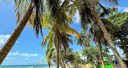 Oceanfront Escape, Hammocks, Walk to Boardwalk Solar Backup