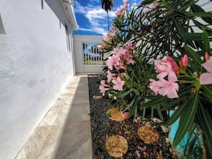 Detalle exterior
