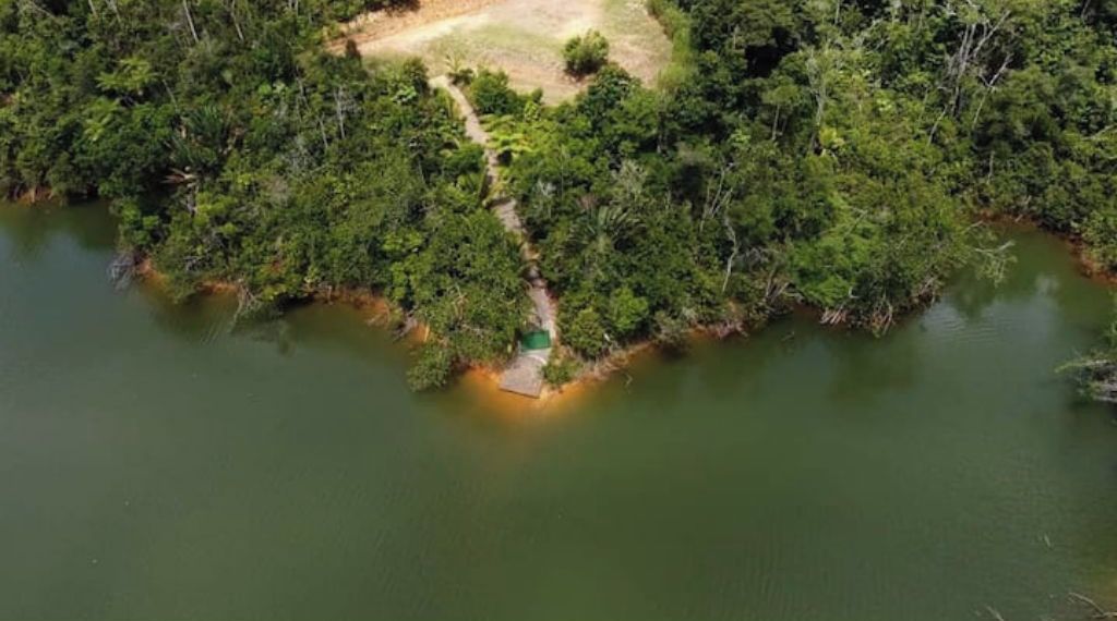 Vista aérea de una zona boscosa con un pequeño muelle que se adentra en una masa de agua.
