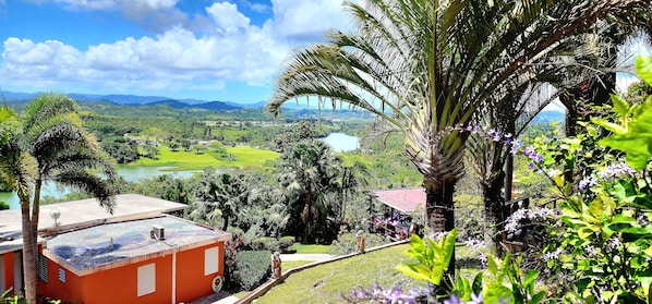 A view of a lush landscape with a body of water, palm trees, and a building with a red roof. - Serene Private Peaceful Retreat with Lake Access Mountain View in Cidra (Cidra)