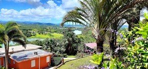 A view of a lush landscape with a body of water, palm trees, and a building with a red roof. - LA CASITA DEL LAGO (Cidra)