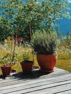 A wooden deck with potted plants, including a large terracotta pot and smaller pots, set against a backdrop of greenery and a clear sky.