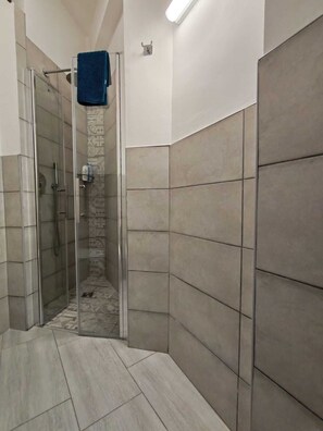 Shower, hair dryer, bidet, towels