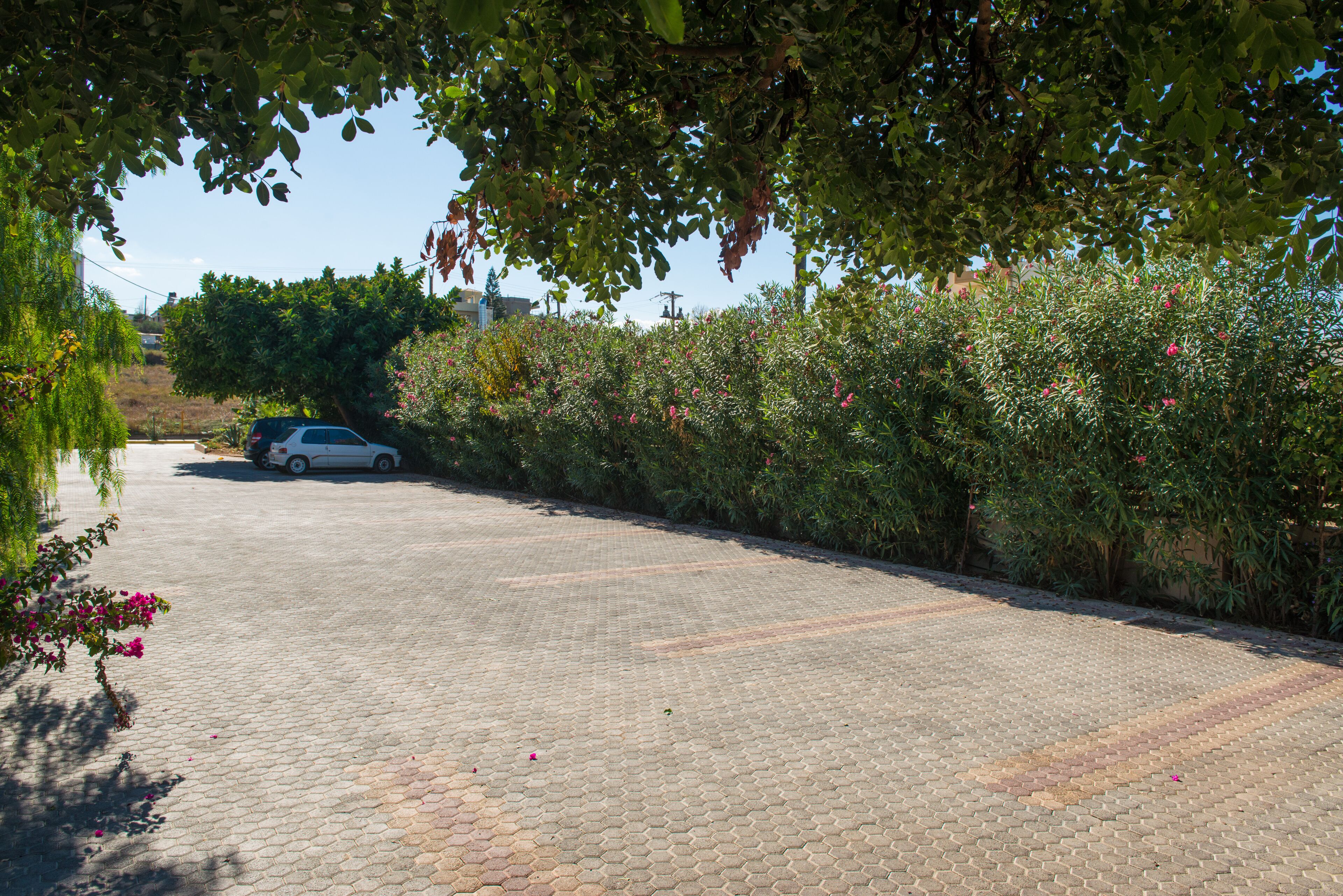 Foto - Alsus Boutique Hotel - Adults Only