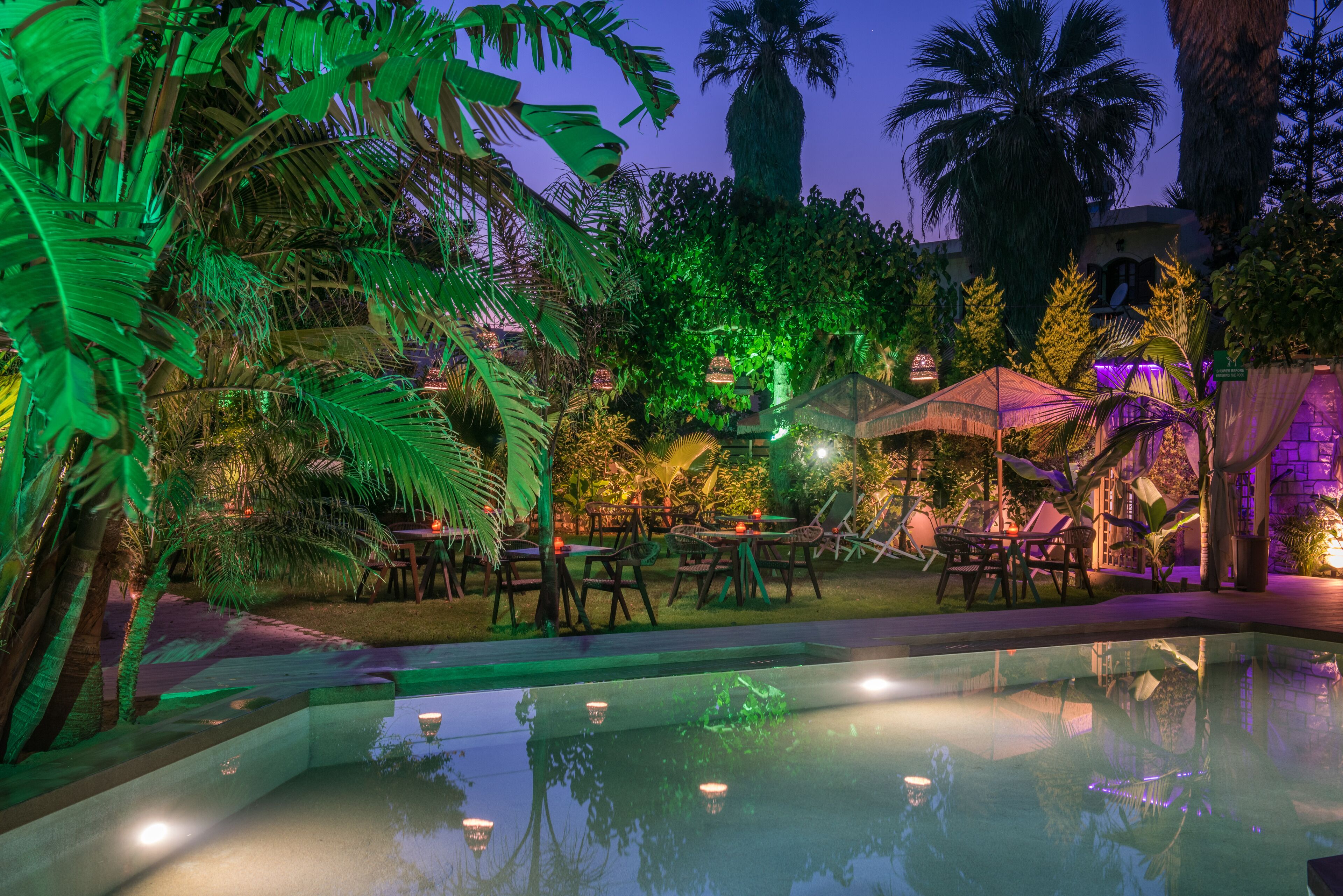 An outdoor pool area with lounge chairs and umbrellas, surrounded by lush tropical plants and palm trees.
