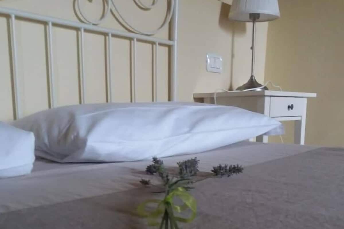 Chambre de base double | AccĂšs au Wi-Fi (inclus), literie fournie