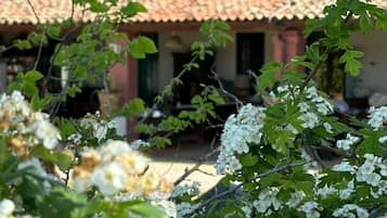 Terraço/pátio
