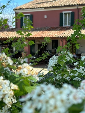 Terrass/Patio
