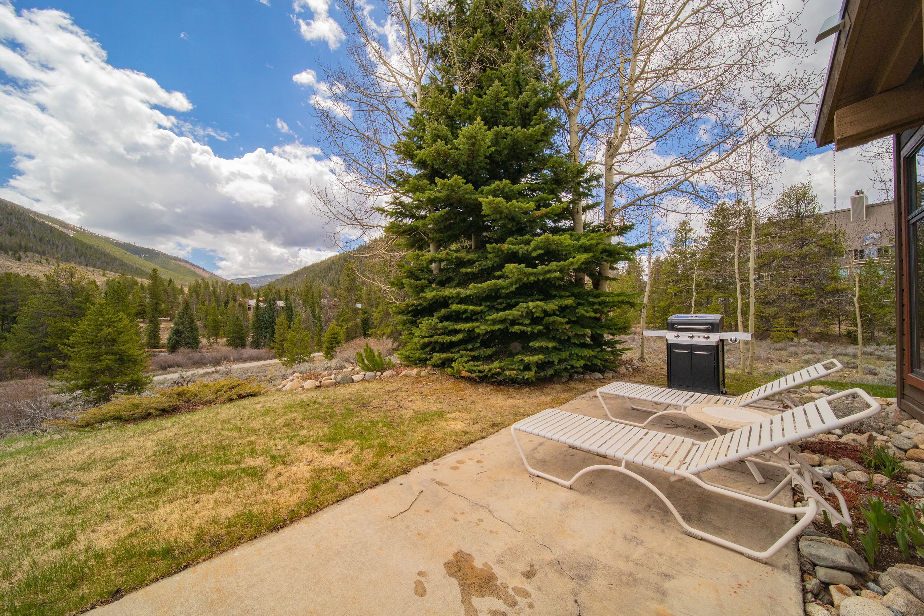 A patio with two lounge chairs, a large evergreen tree, and a grill area.